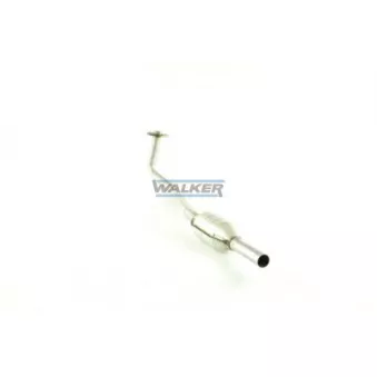 Catalyseur WALKER 20069