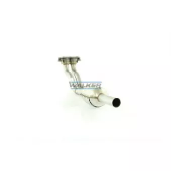 Catalyseur WALKER 20160