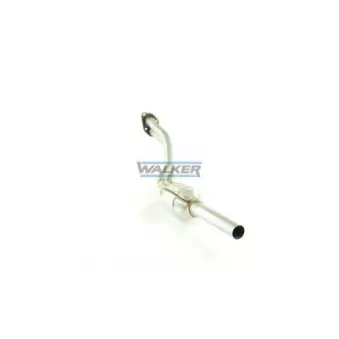 Catalyseur WALKER 20204