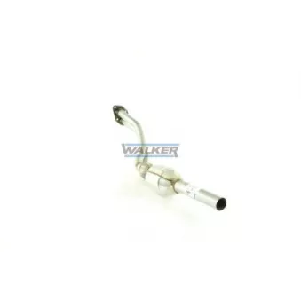 Catalyseur WALKER 20210