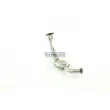 Catalyseur WALKER 20228 - Visuel 1