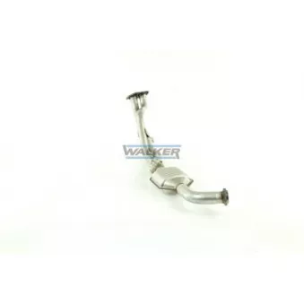 Catalyseur WALKER 20228
