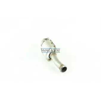 Catalyseur WALKER 20256