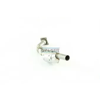 Catalyseur WALKER 20261