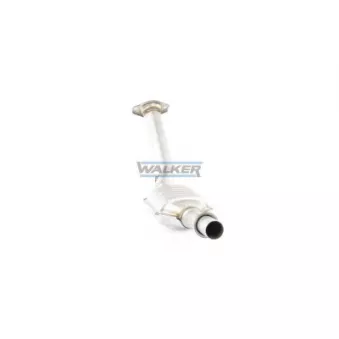 Catalyseur WALKER 20296