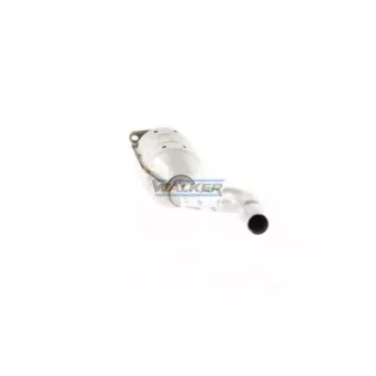 Catalyseur WALKER 20302