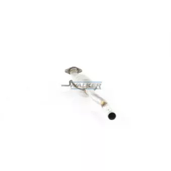 Catalyseur WALKER 20306