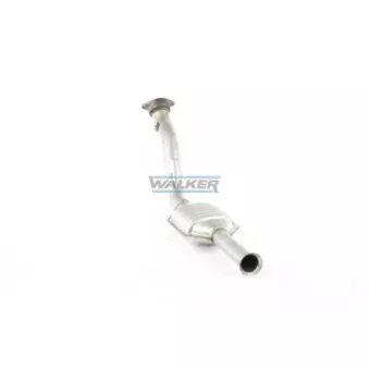 Catalyseur WALKER 20310