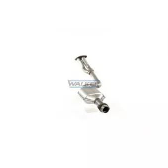 Catalyseur WALKER 20325