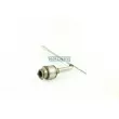 Catalyseur WALKER 20356 - Visuel 3