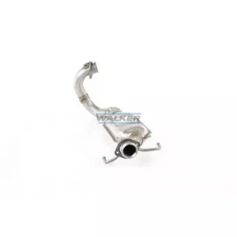 Catalyseur WALKER 20400