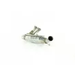Catalyseur WALKER 20416 - Visuel 1