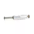 Catalyseur WALKER 20446 - Visuel 2