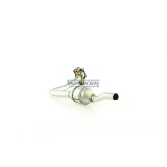 Catalyseur WALKER 20472
