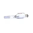Catalyseur WALKER 20505 - Visuel 2