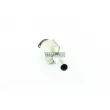 Catalyseur WALKER 20529 - Visuel 1