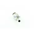 Catalyseur WALKER 20545 - Visuel 1