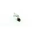 Catalyseur WALKER 20545 - Visuel 3