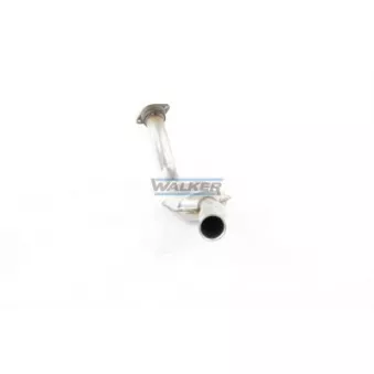 Catalyseur WALKER 20546