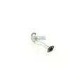 Catalyseur WALKER 20557 - Visuel 3