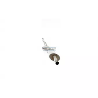 Catalyseur WALKER 20562
