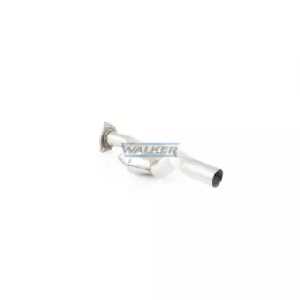 Catalyseur WALKER 20563