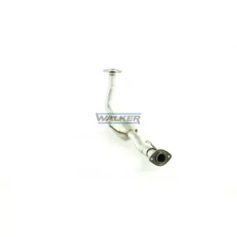 Catalyseur WALKER 20566