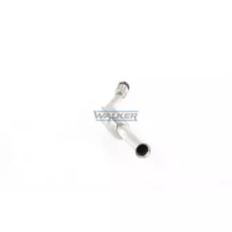 Catalyseur WALKER 20577
