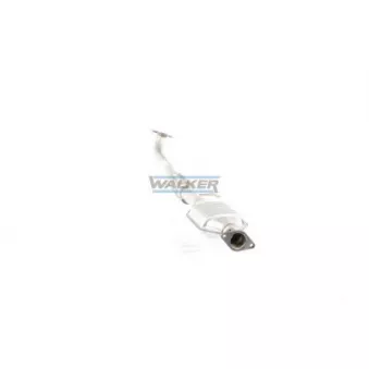 Catalyseur WALKER 20603