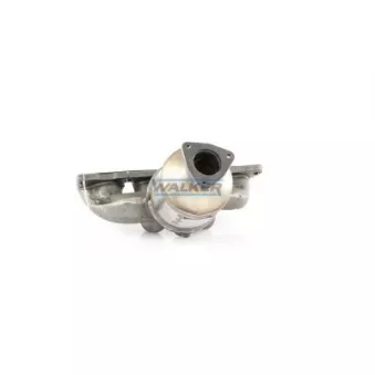 Catalyseur WALKER 20619
