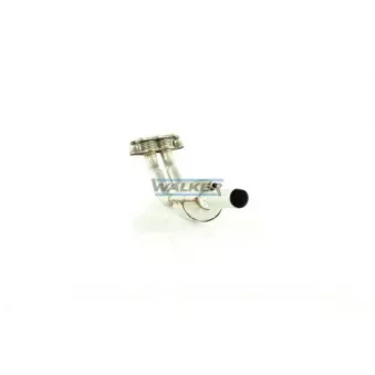 Catalyseur WALKER 20626