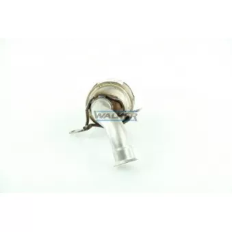 Catalyseur WALKER 20632