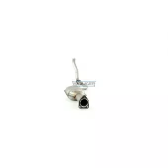 Catalyseur WALKER 20634
