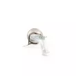 Catalyseur WALKER 20656 - Visuel 3