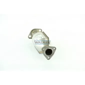 Catalyseur WALKER 20661