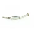 Catalyseur WALKER 20664 - Visuel 2