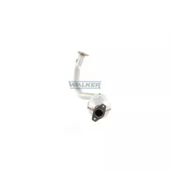Catalyseur WALKER 20684