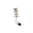 Catalyseur WALKER 20691 - Visuel 1
