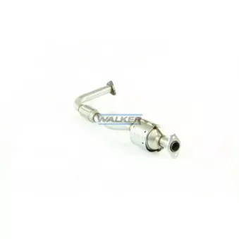 Catalyseur WALKER 20700