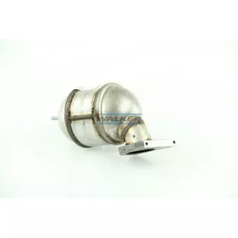 Catalyseur WALKER 20701