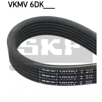 Courroie trapézoïdale à nervures SKF VKMV 6DK1215