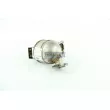 Catalyseur WALKER 20702 - Visuel 1