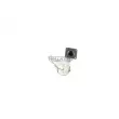 Catalyseur WALKER 20707 - Visuel 2
