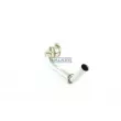 Catalyseur WALKER 20712 - Visuel 1