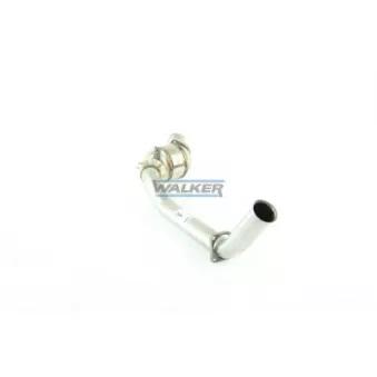 Catalyseur WALKER 20712
