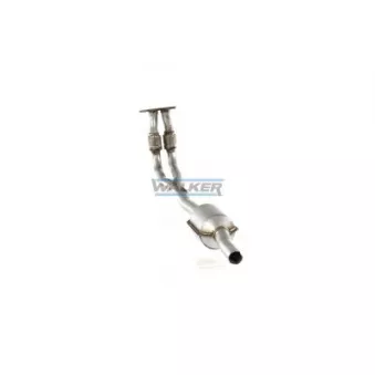 Catalyseur WALKER 20713