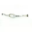 Catalyseur WALKER 20715 - Visuel 2