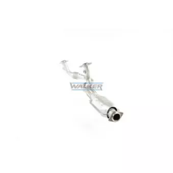 Catalyseur WALKER 20717