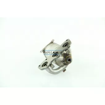 Catalyseur WALKER 20723