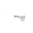 Catalyseur WALKER 20727 - Visuel 3